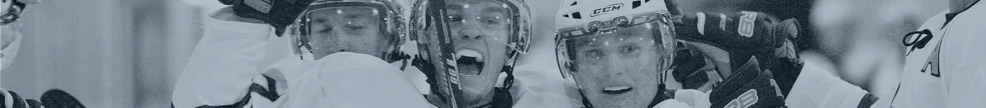 hockey