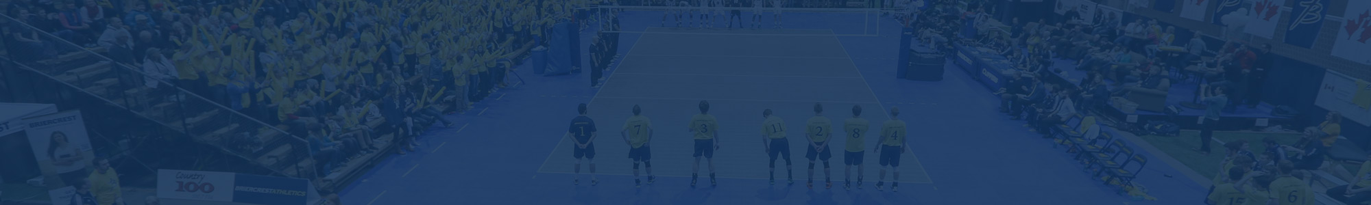 Volleyball